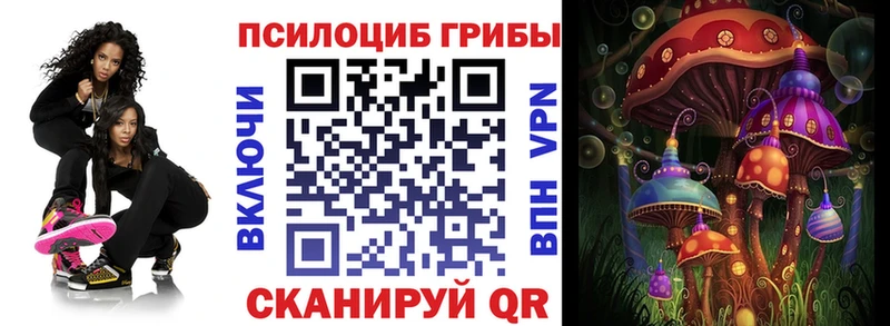 Псилоцибиновые грибы прущие грибы  Кочубеевское 